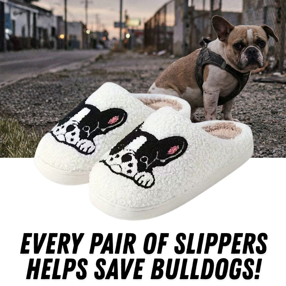 French Bulldog Cozy Slippers