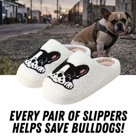 French Bulldog Cozy Slippers