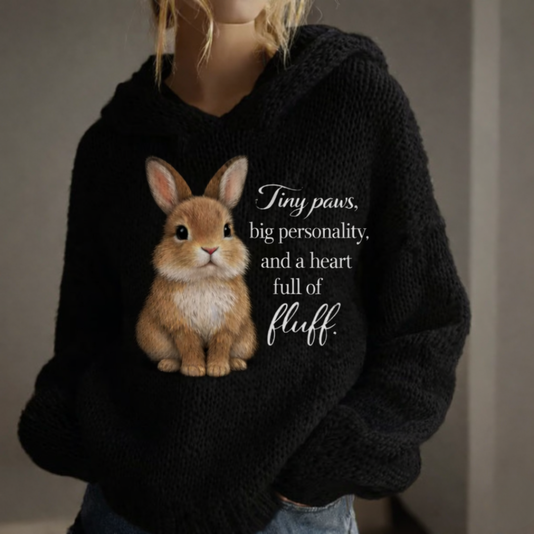 Rabbit Cozy Knit Sweater